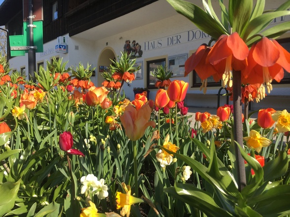 An der Tourist-Info Rottau
