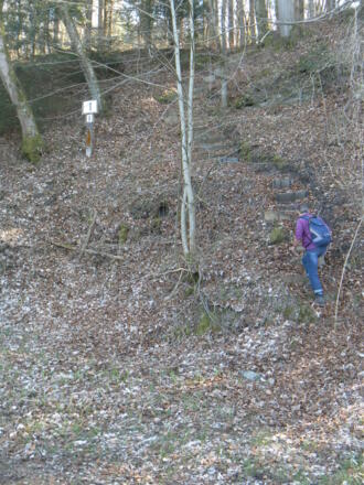 Von der Via Nova zum Rupertiweg