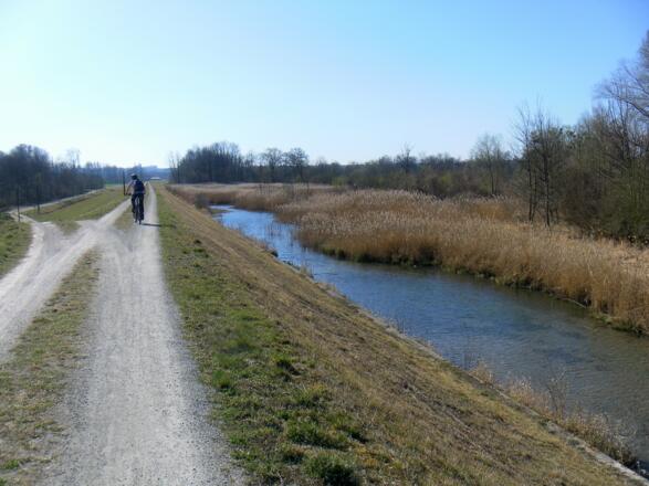 Salzachdamm in Überackern