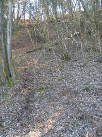 wegloser Abstieg zum Ufer