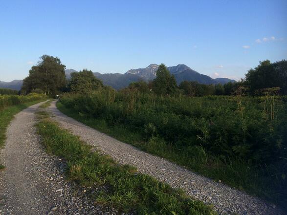 Zwischen Westerbuchberg und Torfbahnhof Rottau