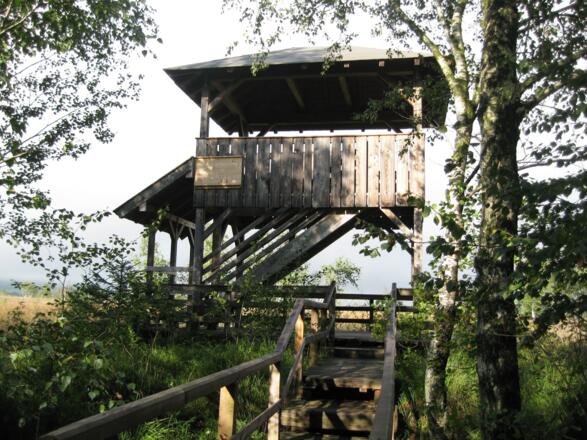 Aussichtsturm im Moor