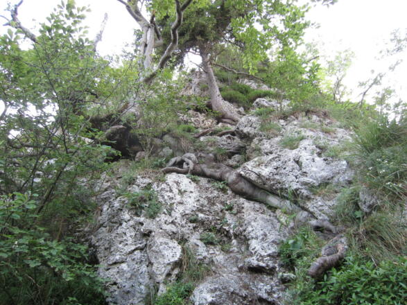 Der Abstieg über den Normalweg (Ostgrat)