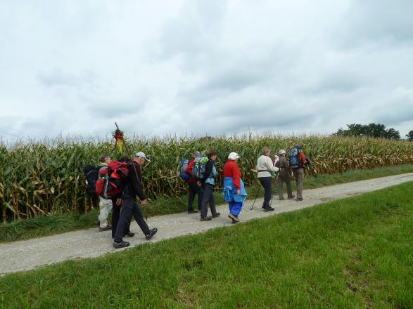 Durch die Felder auf dem Weg nach Tittmoning