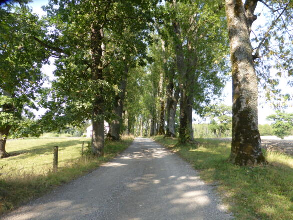 Baumallee nach Ettenhofen, Vorderrad dreht durch
