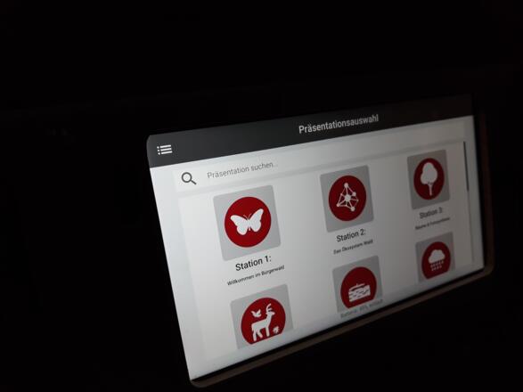 Digitaler Waldlehrpfad