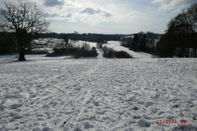 Blick von der Stephanskapelle zur Zugspitze