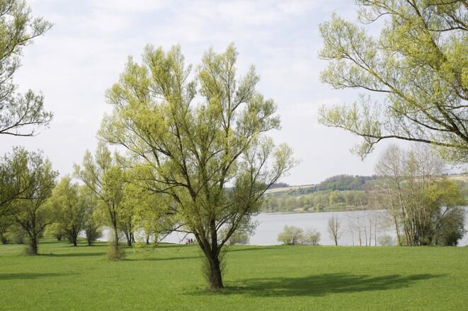 Naherholungsgebiet Rottauensee