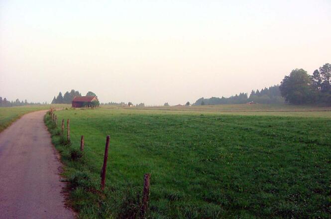 Blick über das Moor.