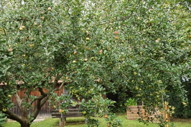 Obstlehrgarten Niederneuching