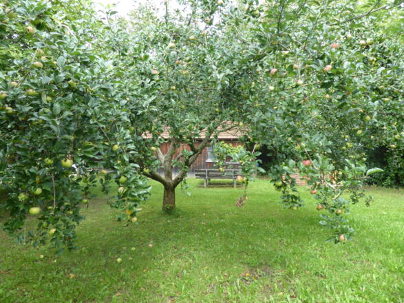 Obstlehrgarten Niederneuching