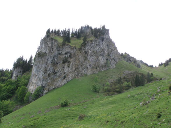 Beigenstein