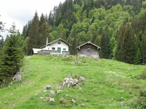 Vordere Krottenalm 1230m