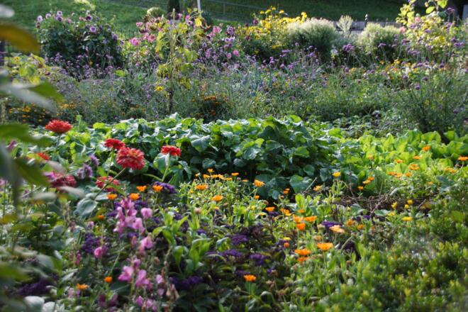 Bauerngarten in Aufkirchen