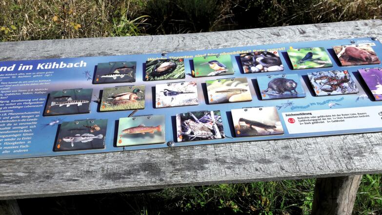 Naturlehrpfad Kühbach