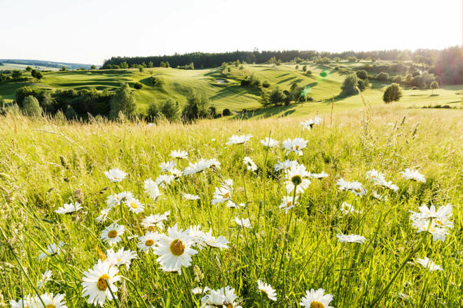 Bella Vista Golfpark
