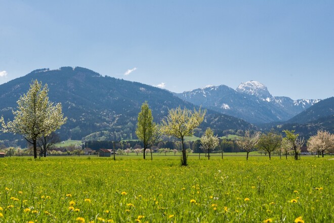Blick auf Bad Feilnbach mit Wendelstein