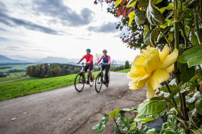 Radfahren auf dem Bodensee Königssee Radweg