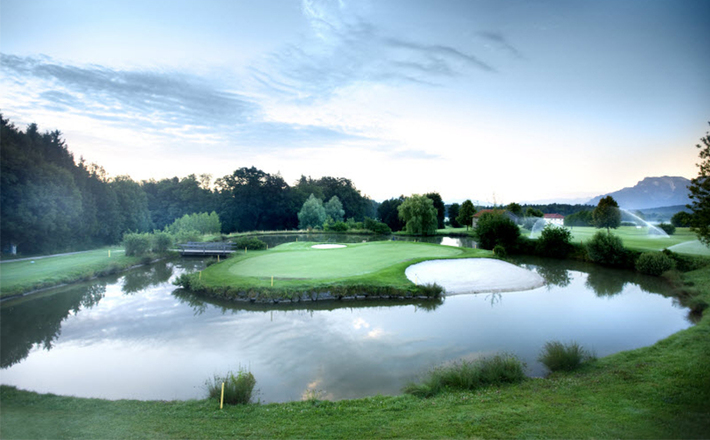 Latschen auf der Reiter Alm
