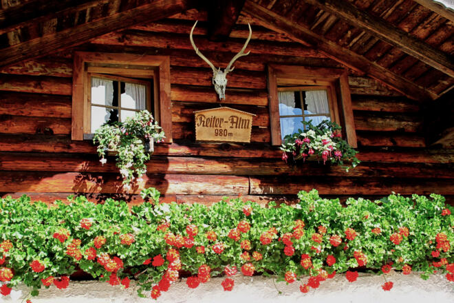 Blumenschmuck auf der Reiteralm