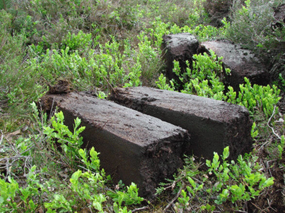Frisch gestochene Torfsoden