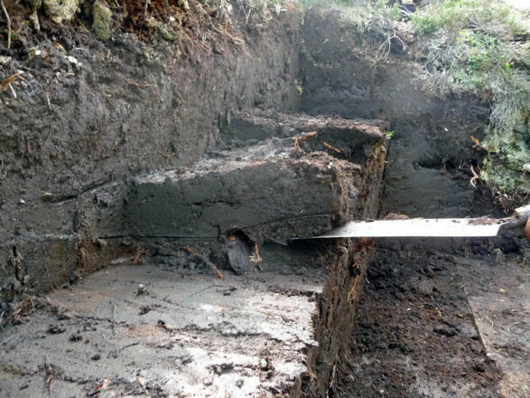 Schwerstarbeit Torfstich