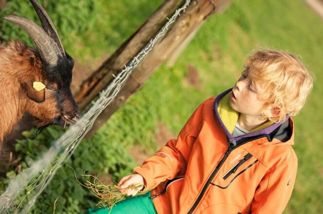 Los geht&#039;s - Radrundtour Bauernhofsafari