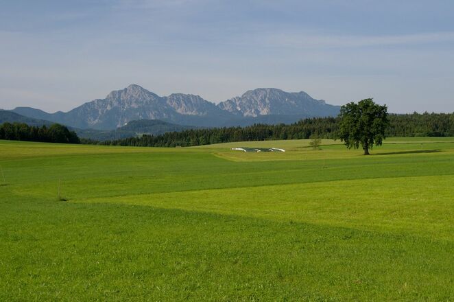 Blick auf Hochstaufen und Zwiesel bei Sillersdorf