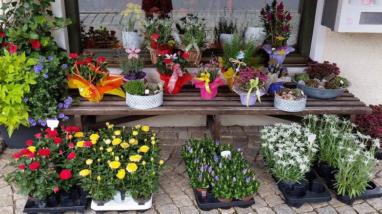 Blumenhaus Fegg Schaufenster