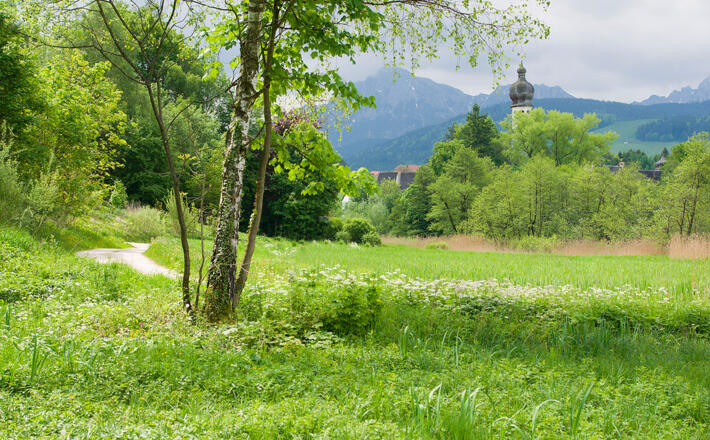 Höglwörther Weg © RoHa Fotothek