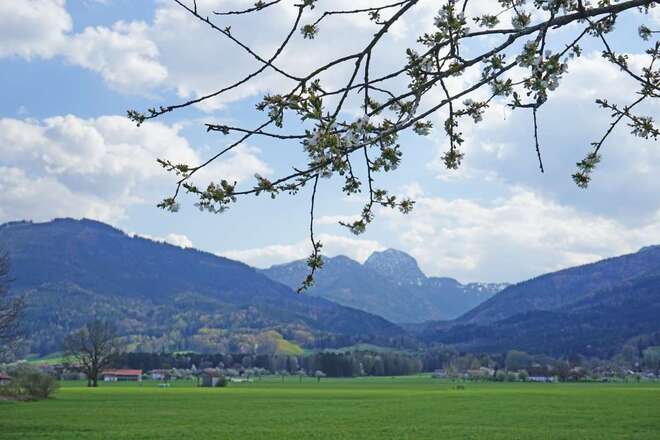 Blick zum Wendelstein
