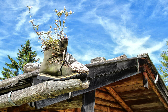 Bergschuh auf der Reiteralm