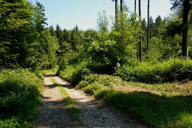Milchstraßen-Radweg