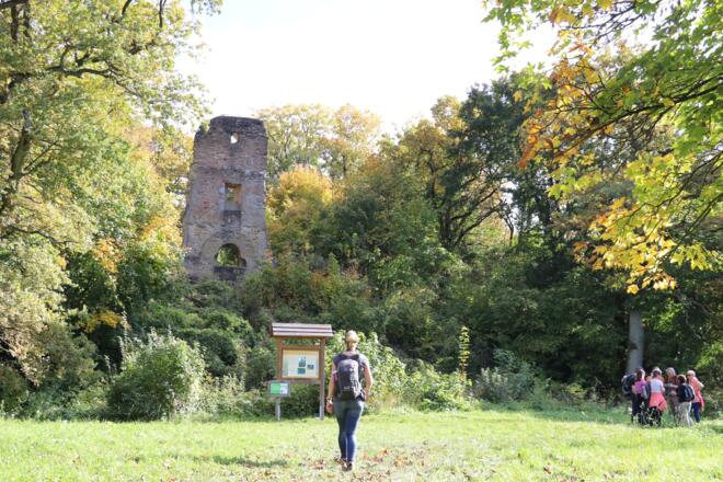 Die Ruine Speckfeld - ein beliebter Platz für eine Rast