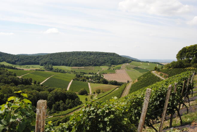 Schönste Weinsicht Deutschlands 2012