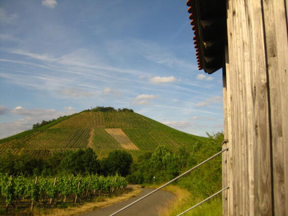 Wanderhütte am Matzenberg mit Blick au fden Tannenberg