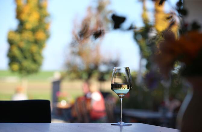 Weingut Kernwein Seinsheim