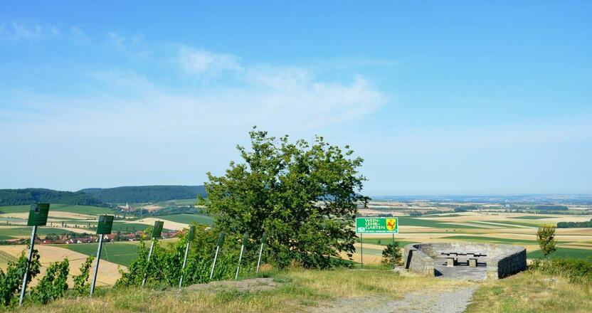 Weinlehrpfad Abtswind