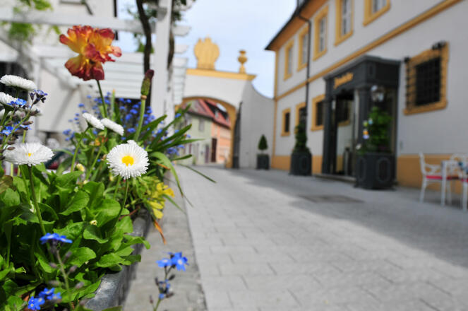 Romantik Hotel Zehntkeller