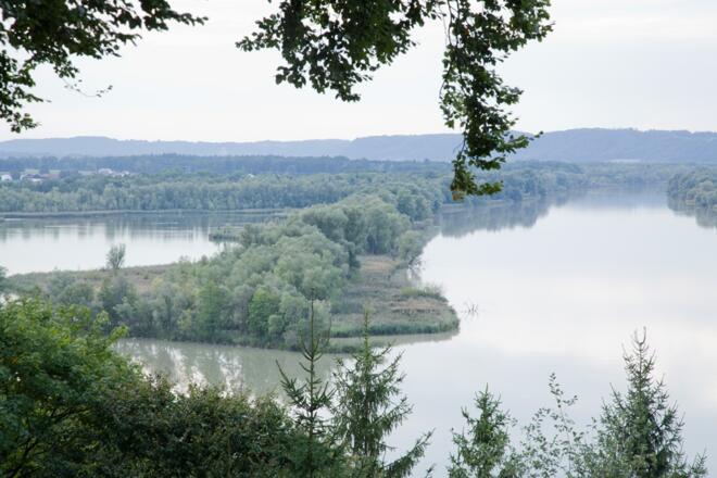 Aussicht Europareservat Unterer Inn