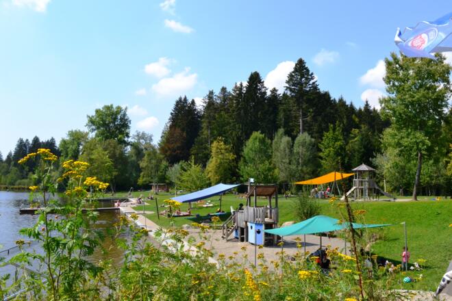 Waldseebad Liegewiese im Sommer