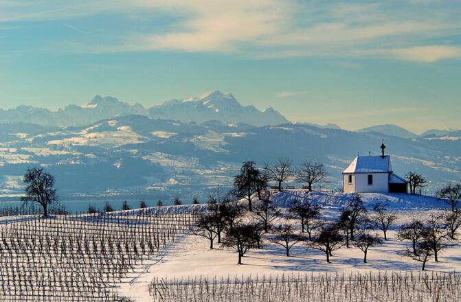 Winterimpression Antoniuskapelle Wasserburg (Bodensee)