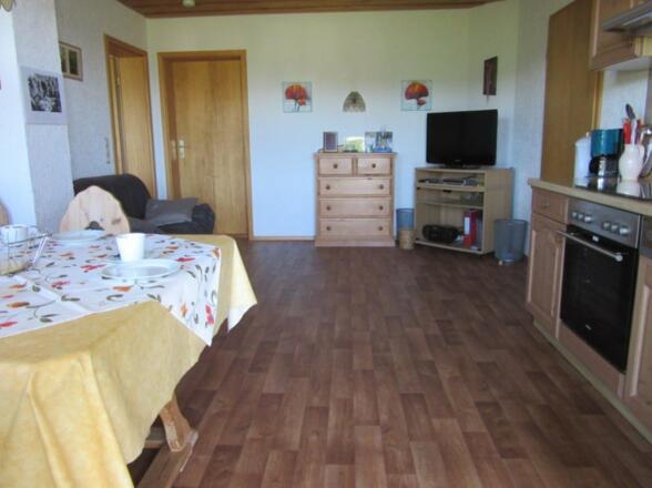 Wohnkueche_Geli_mit_TV