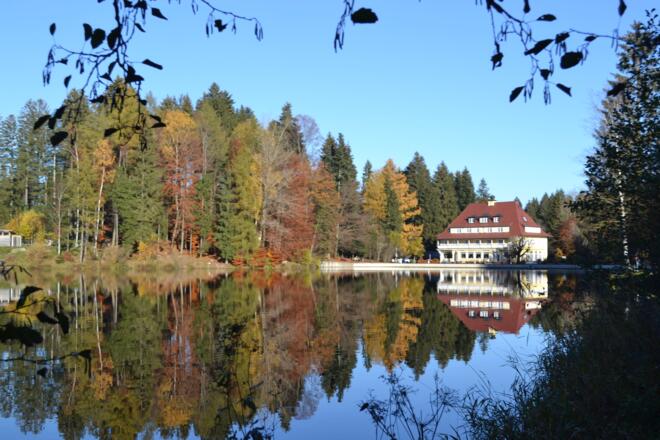 Hotel Waldsee im Herbst