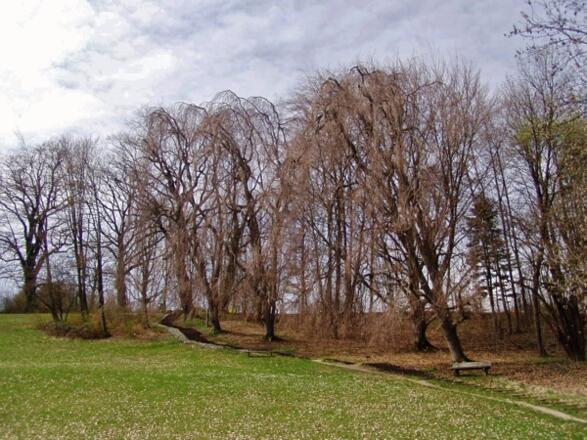 Parkanlage Höhenried