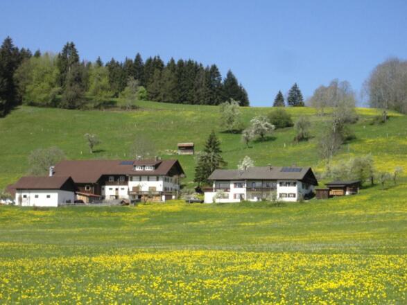 unseranwesenderprinzenhofimfruehling