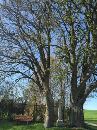 Wegkreuz am Hirschgarten