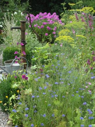 Privatgarten &quot;HerbaLicca&quot;