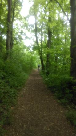 Naturpark Altmühltal