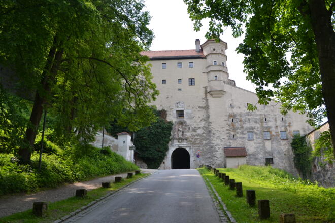 Eingang Willibaldsburg